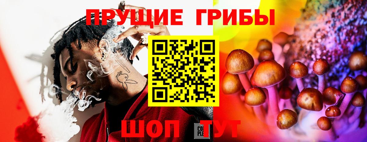 Псилоцибиновые грибы прущие грибы Ахтубинск